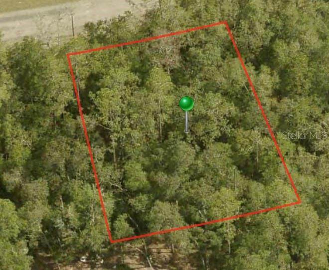 1396 Starbright Place - Photo 1