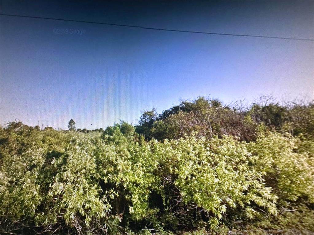 171 Ferguson Street - Photo 1