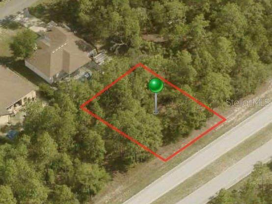 9210 Citrus Springs Boulevard - Photo 1