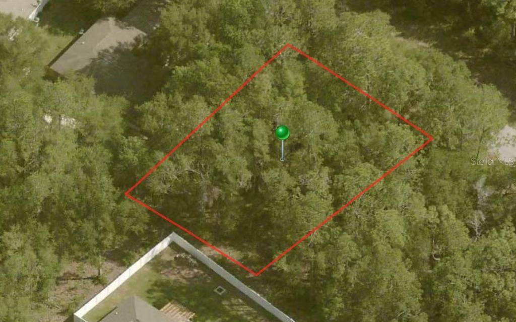 9772 Loretta Way - Photo 1