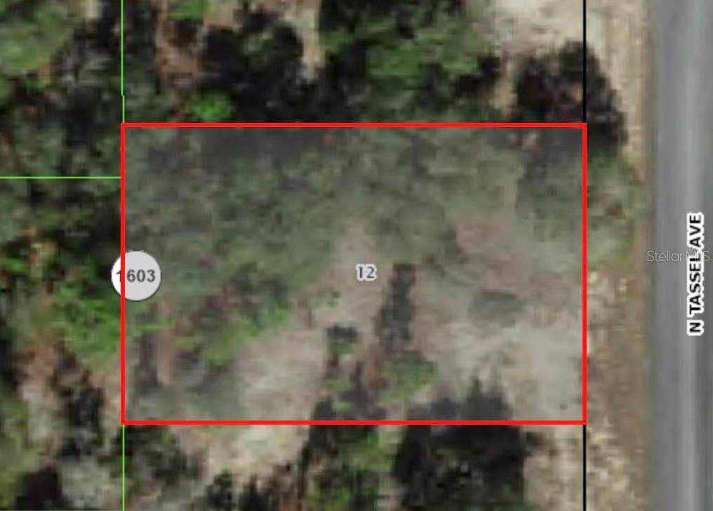 6706 Tassel Terrace - Photo 1