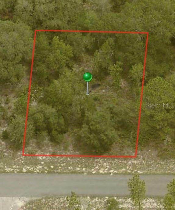 2725 Fillmore Street - Photo 1