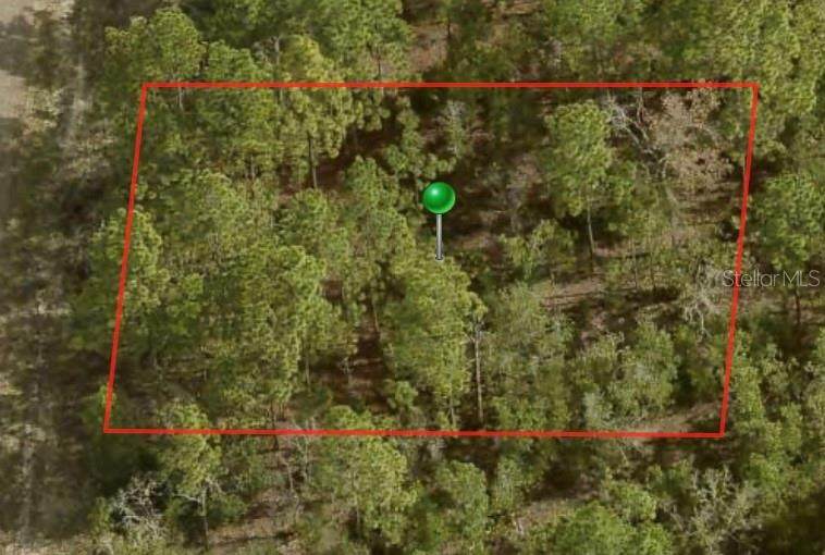 6581 Winlock Terrace - Photo 1