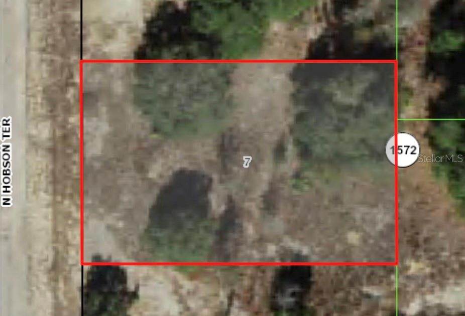 6247 Hobson Terrace - Photo 1