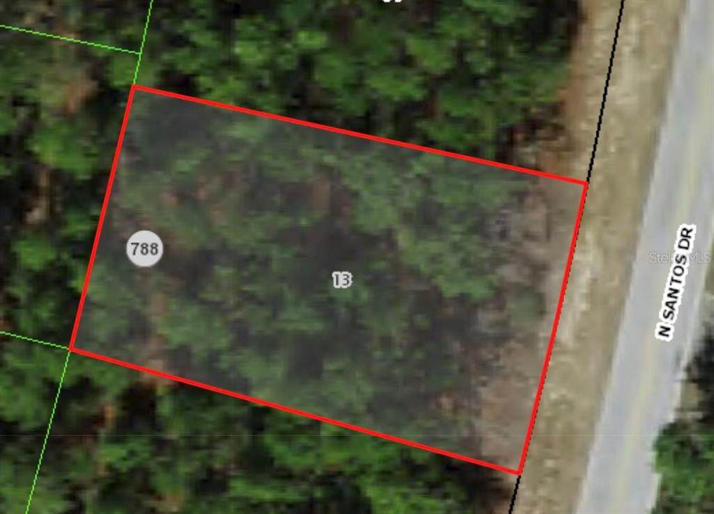 8134 Santos Drive - Photo 1