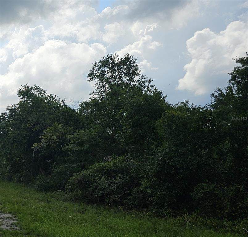 Broward Avenue - Photo 1