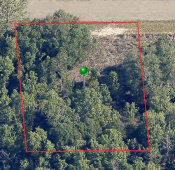 6654 Underwood Drive - Photo 1