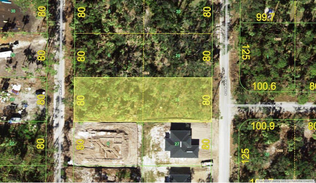 90 Mercer & 91 Sundiet Street - Photo 1