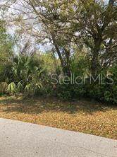 6368 Brookridge Street - Photo 1