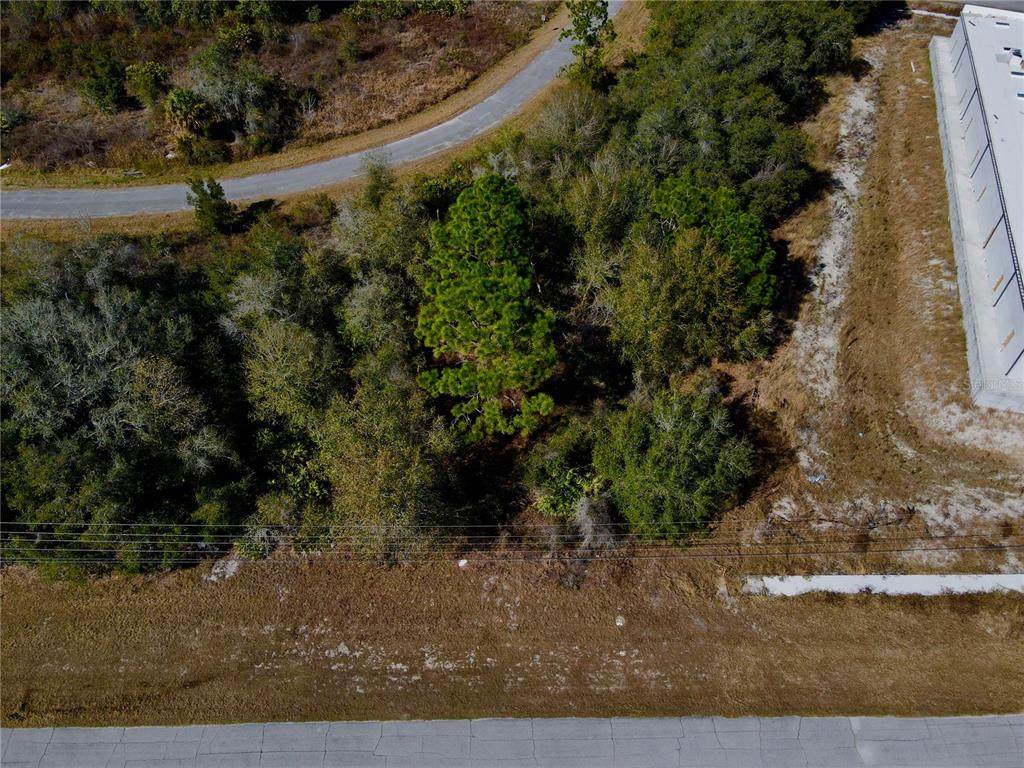 1605 Marlin Drive - Photo 1