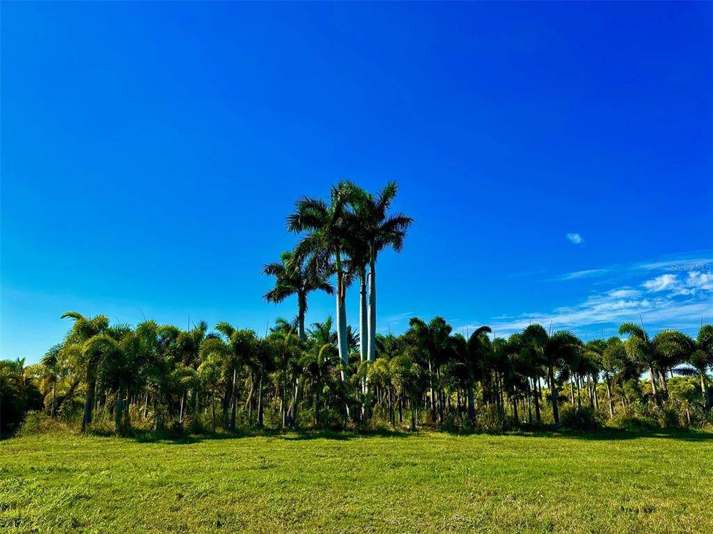 6100 Pinecrest Drive - Photo 1