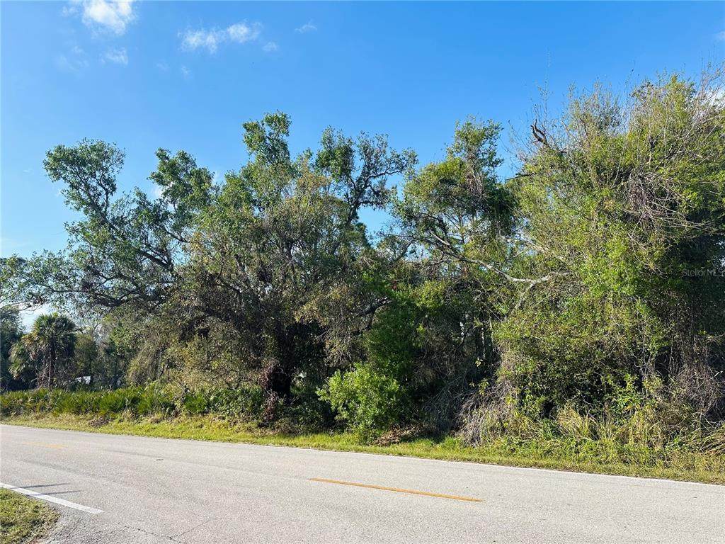 23422 Elmira Boulevard - Photo 1