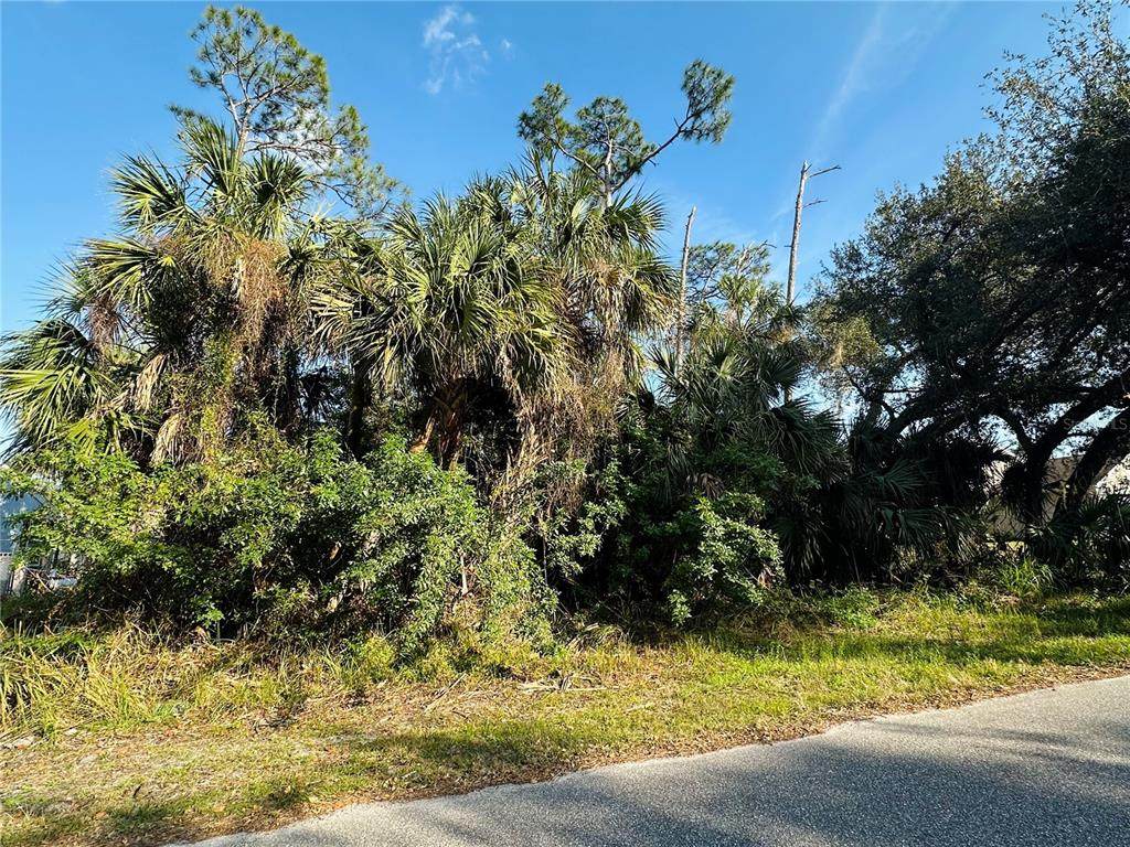 219 Swift Street - Photo 1