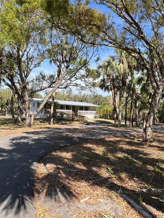 50 Palm Drive - Photo 1