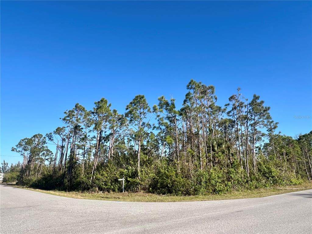 15249 Red Head Avenue - Photo 1