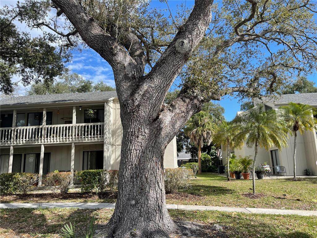 2224 Bahia Vista Street - Photo 1