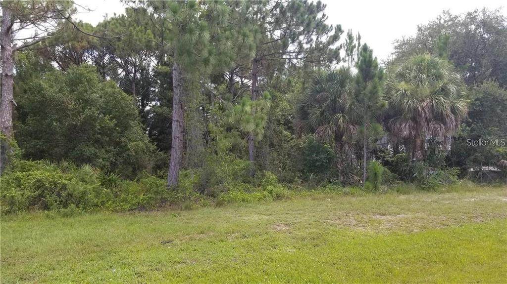  Tamiami Trail - Photo 1