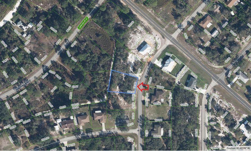 915 Tea Rose Street - Photo 1