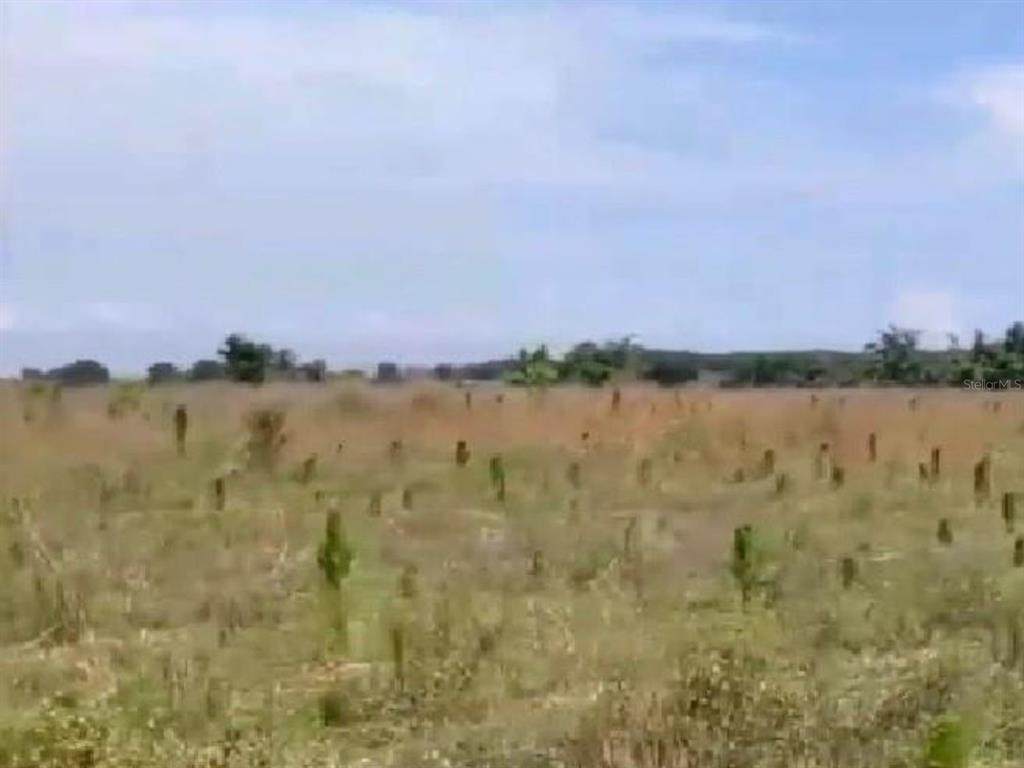 11214 129TH Road - Photo 1