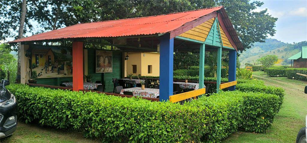 #3 Carretera Yásica Abajo - Photo 1