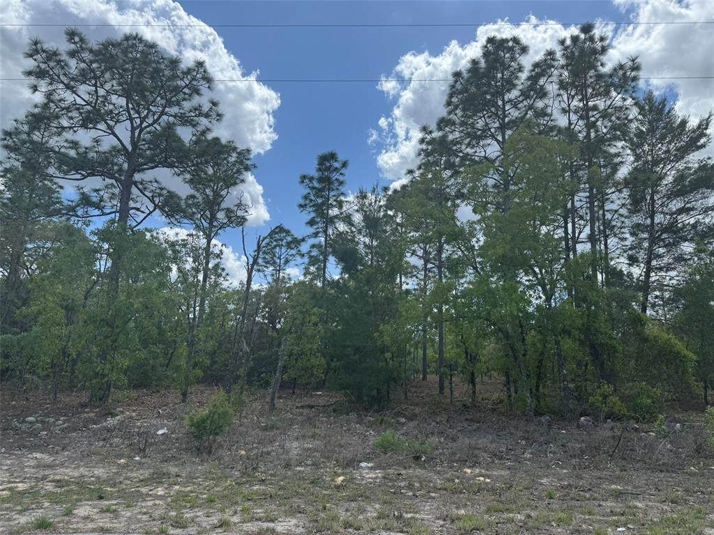 3000 Liza Place - Photo 1