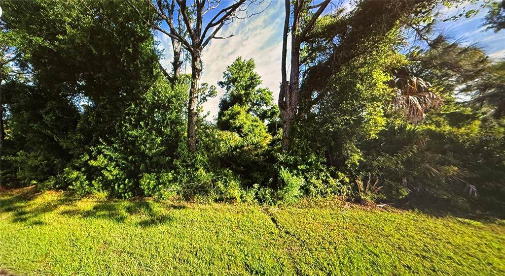 10374 Deerwood Avenue - Photo 1