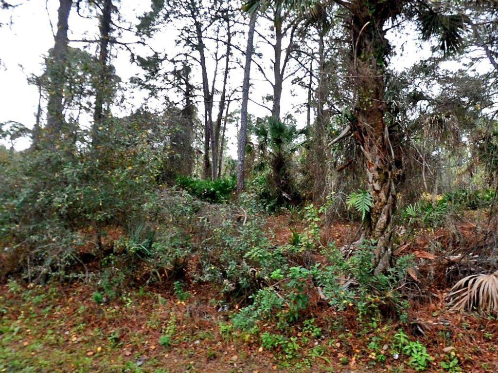  Lady Slipper Ave. - Photo 1