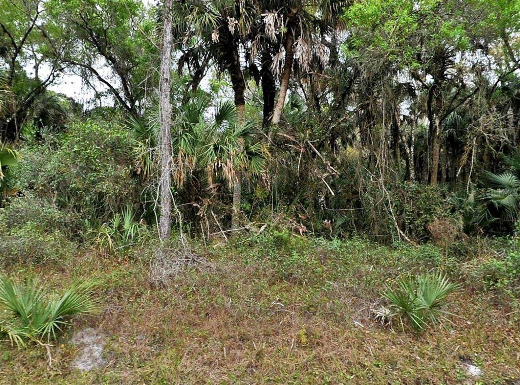  Hurdle Rd. - Photo 1