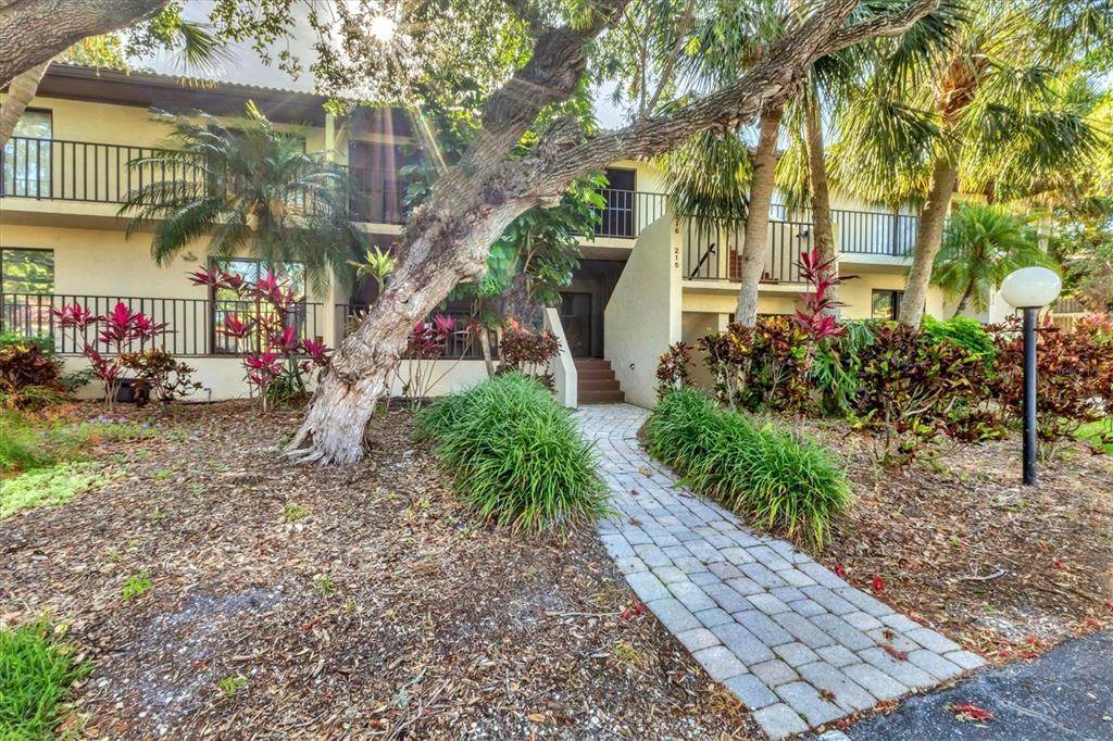 6501 Mourning Dove Drive - Photo 1
