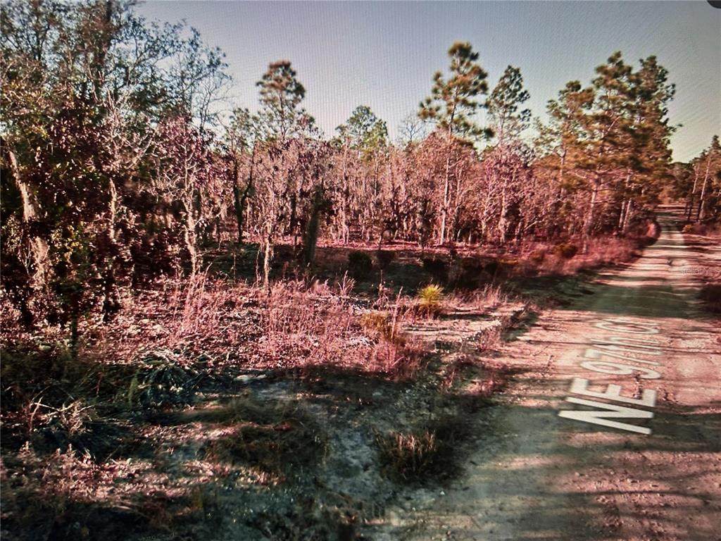 03381-235-00 Ne 97Th Court - Photo 1