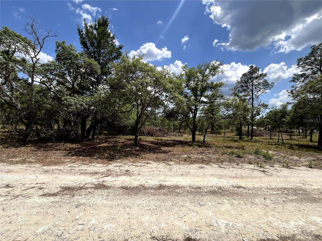 TBD 95TH Street - Photo 1