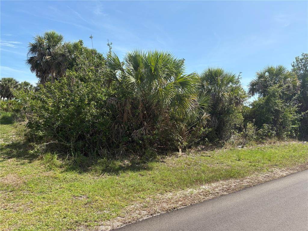 12023 Grouse Avenue - Photo 1