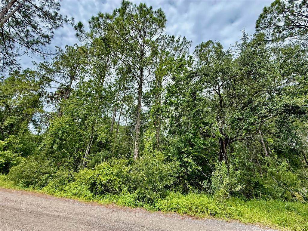  Westpoint Drive - Photo 1