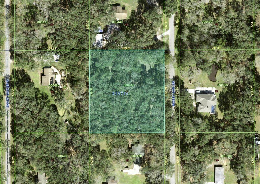 4110 Mossy Oak Drive - Photo 1