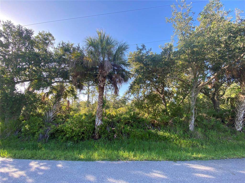 Lot 5 & 6 De Herreda Drive - Photo 1