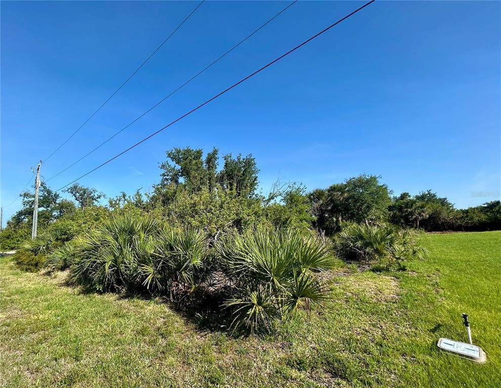 13306 High Springs Avenue - Photo 1