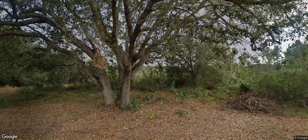 2907 4TH Street - Photo 1