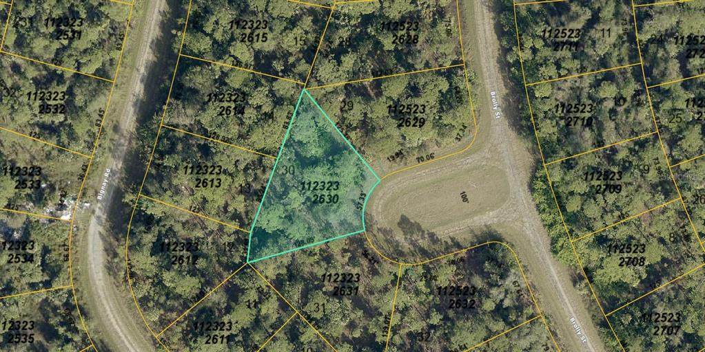 1123232630 Brolly Street - Photo 1