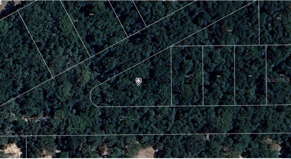 3077 Grapevine Court - Photo 1