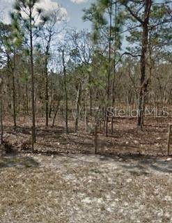  142ND STREET - Photo 1