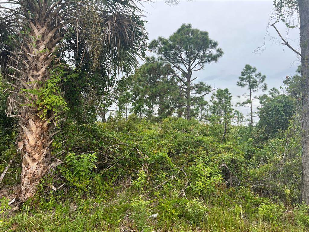 8185 Dimstead Street - Photo 1