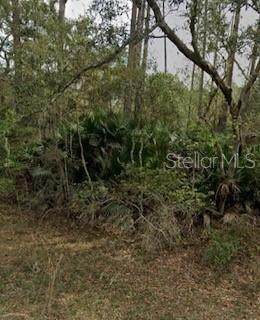  Brush Street - Photo 1