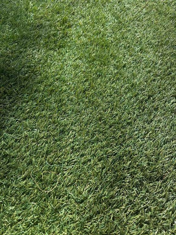  La Rosa Avenue - Photo 1