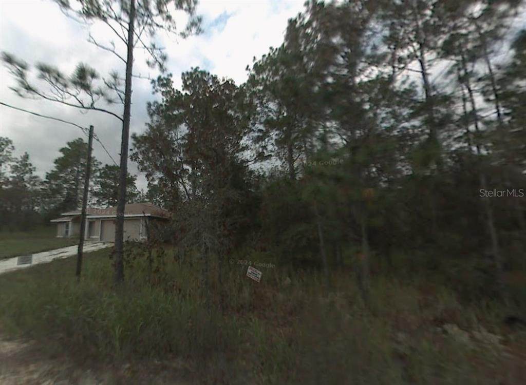 LOT 10 Sw 41St Street Rd - Photo 1