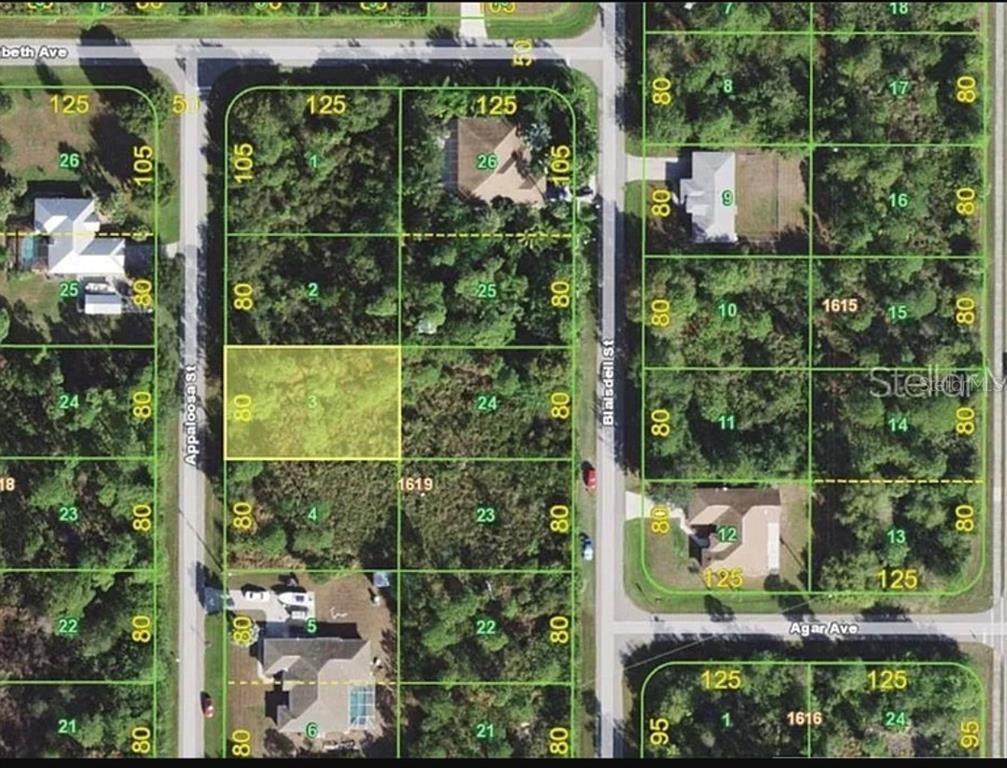 1382 Appaloosa Street - Photo 1