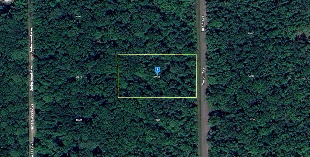 10625 Turpin Avenue - Photo 1