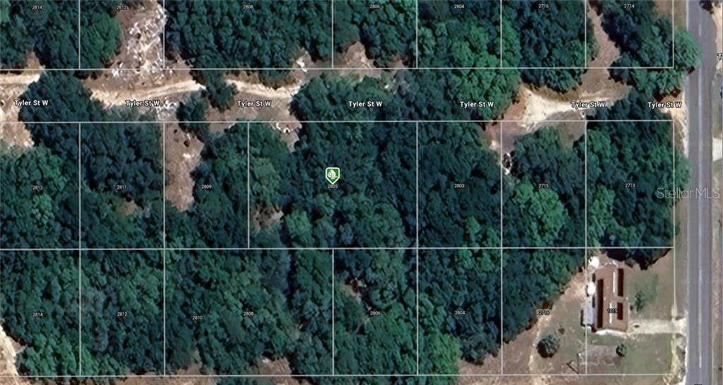 2805 Tyler Street - Photo 1