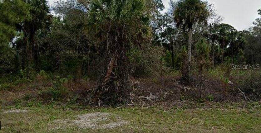 256 Ravenswood Boulevard - Photo 1