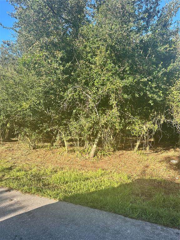 13 Sunflower Street - Photo 1