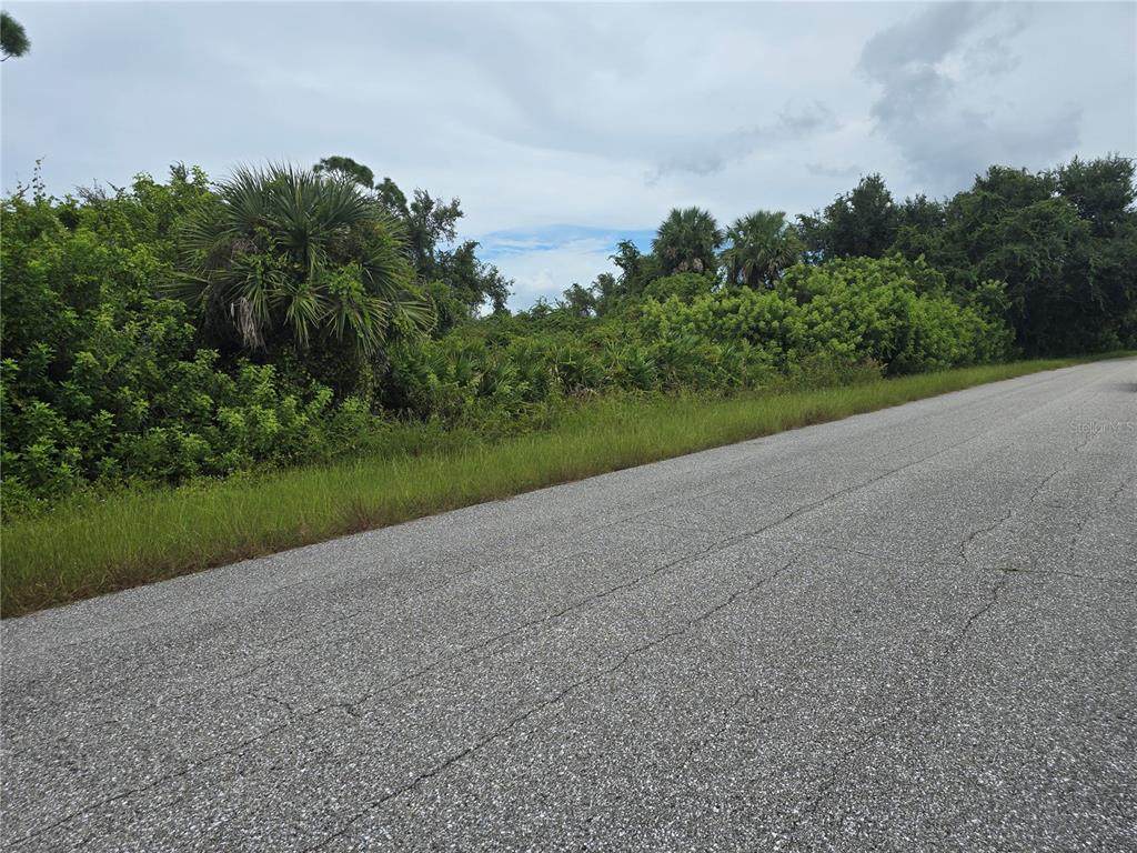 13381 Amaryllis Circle - Photo 1